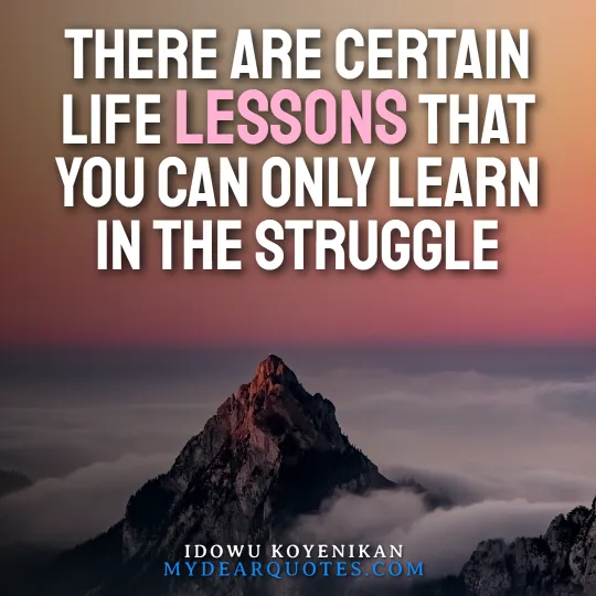 Idowu Koyenikan Quote: “There are certain life lessons that you