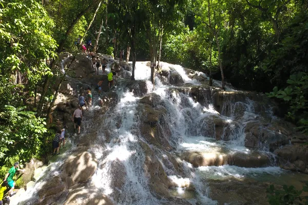 Discover Unforgettable Tours in Jamaica at Yaaman Adventure Park