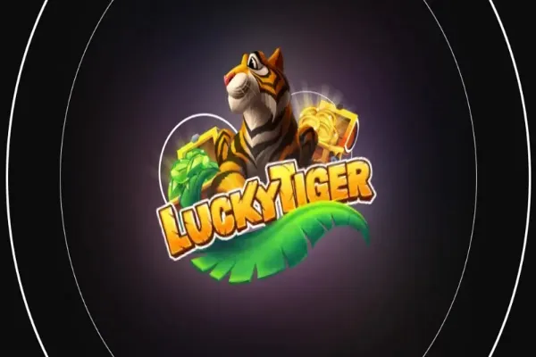 Instructions on How to Use Lucky Tiger Casino