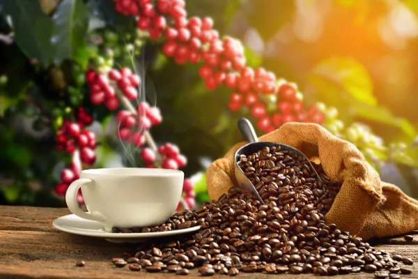 How “Better-for-You” Coffee Is Reshaping the Beverage Industry
