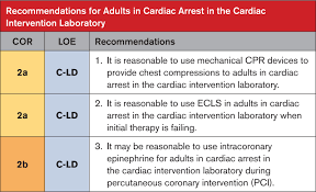 2026 Urban Health Report: The Critical Window for Cardiac Arrest Intervention